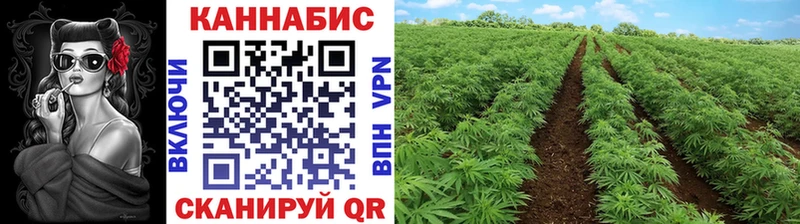 Где найти наркотики Полярные Зори Cocaine KRAKEN Мефедрон ГАШ Канабис APVP АМФ