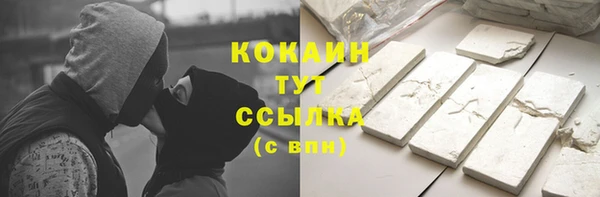 дживик Арсеньев
