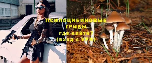 гидропоника Армянск