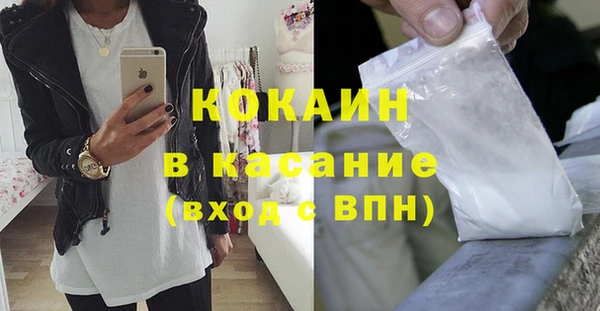 дживик Арсеньев