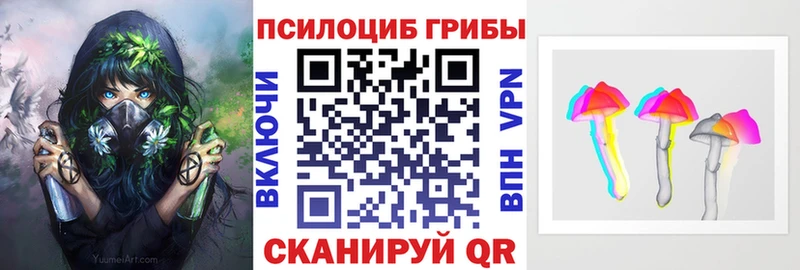 darknet телеграм Полярные Зори Псилоцибиновые грибы Psilocybe